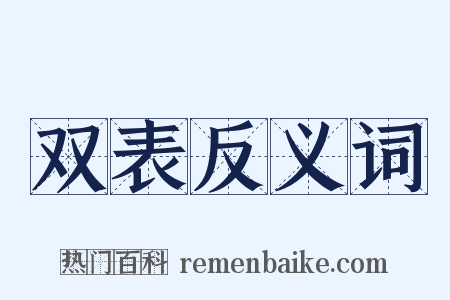 双表反义词是什么意思的图片